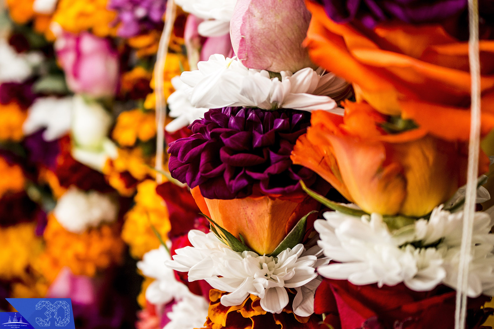 58  - ©1987-2017 SKS Swaminarayan Temple East London